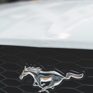 Logo de Mustang