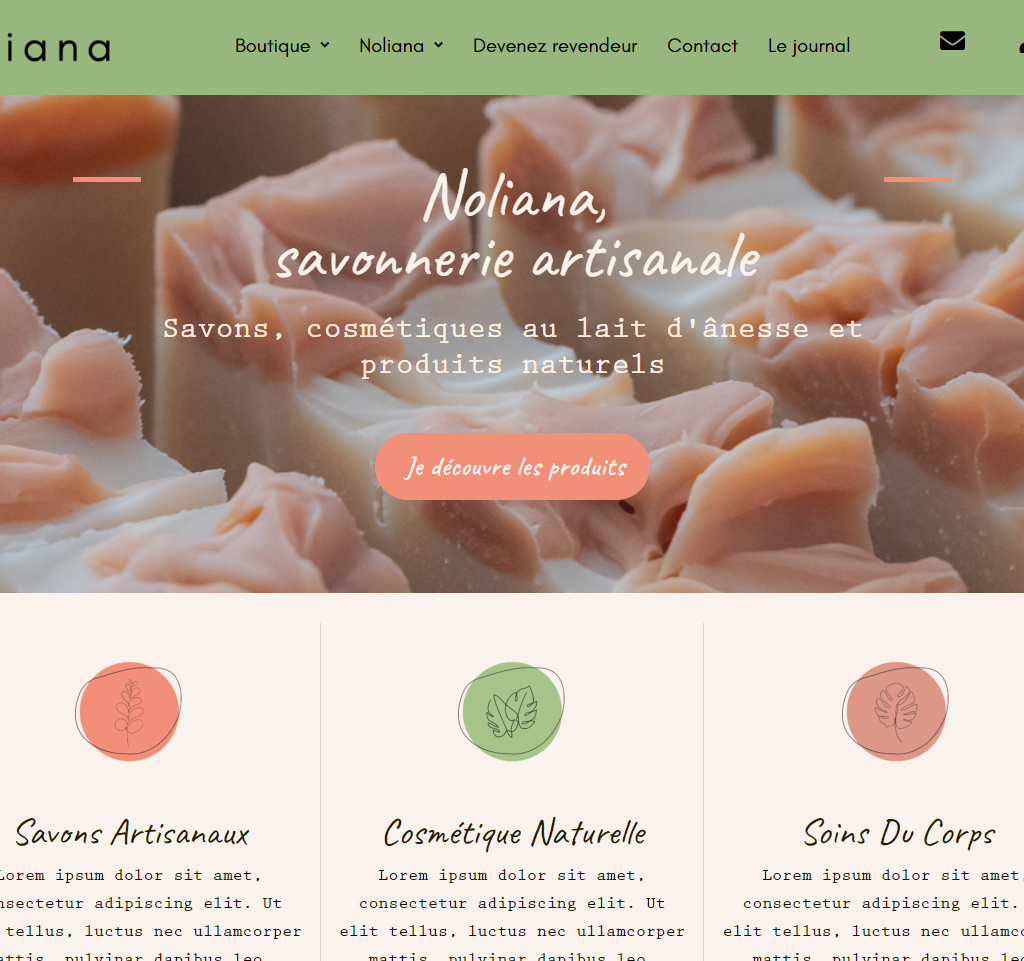 Site e-commerce Noliana