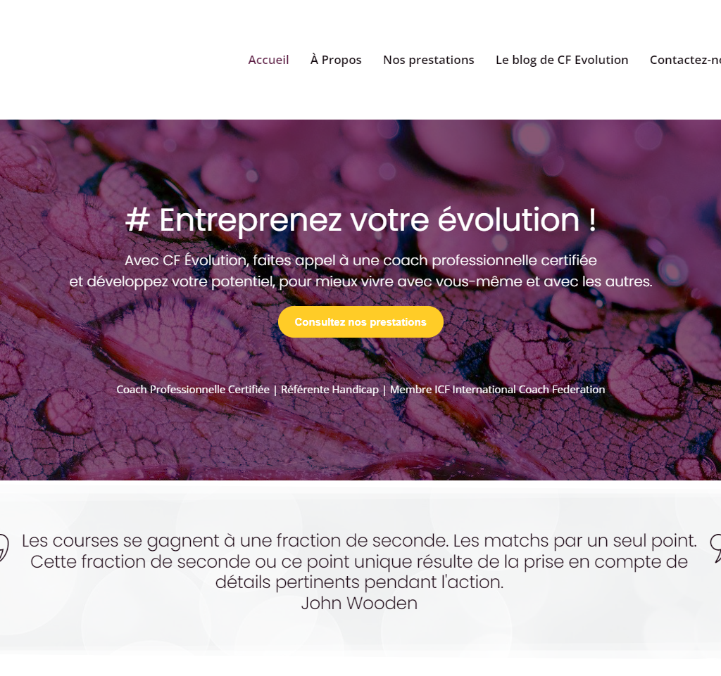 Site vitrine CF Evolution