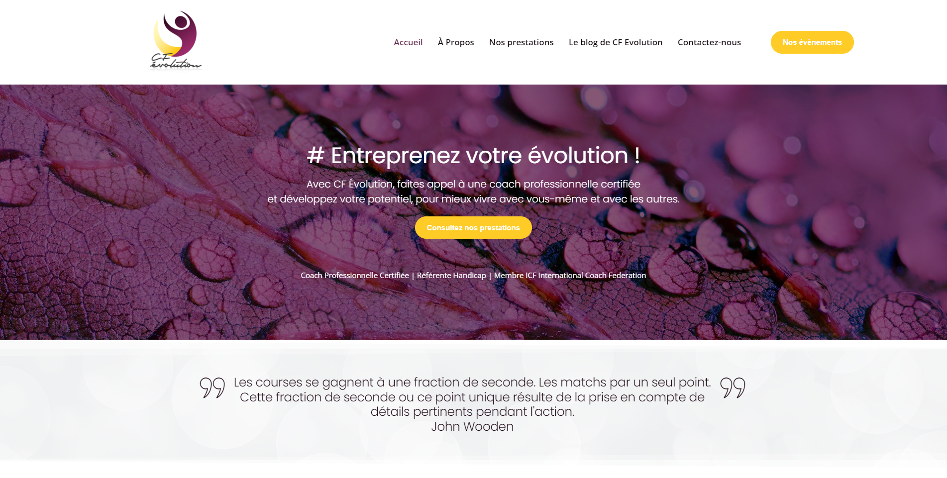 Page d'accueil du site vitrine CF Evolution, réalisé par Comm' Julie, agence web sur le bassin d'Arcachon.