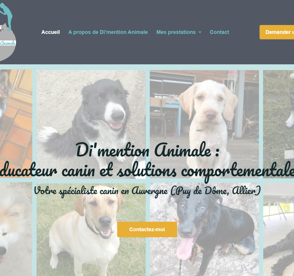 Site vitrine Di’mention Animale