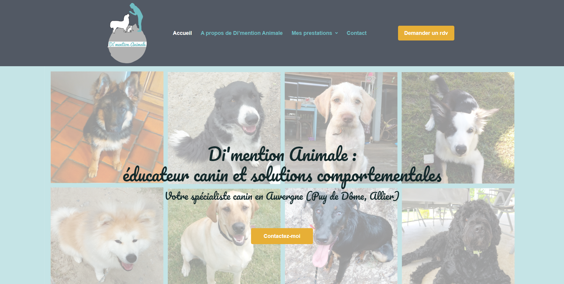 Page d'accueil du site vitrine Di'mention animale, réalisé par Comm' Julie, agence web sur le bassin d'Arcachon.