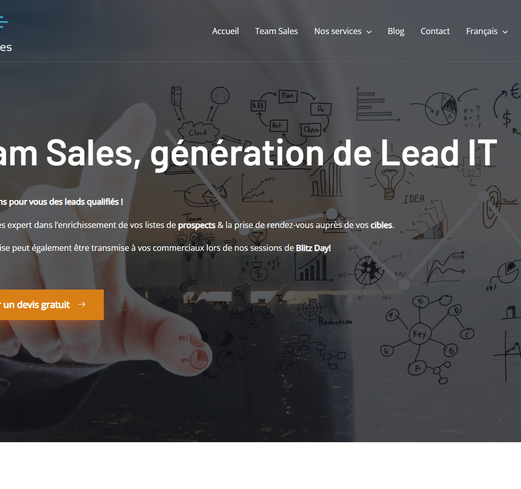 Site vitrine Team Sales