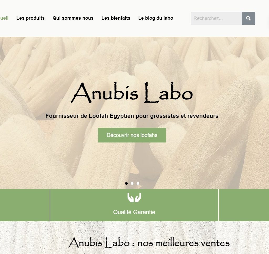 Site vitrine Anubis Labo