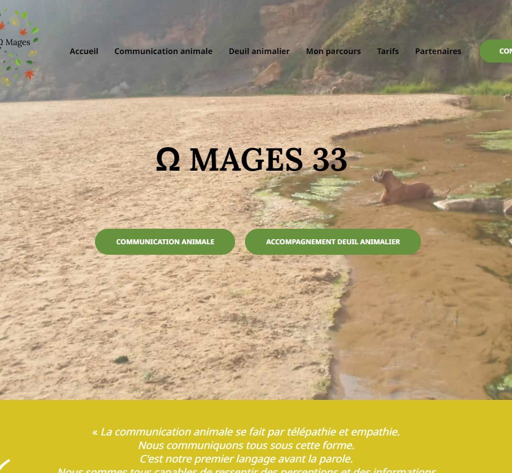 Site one page Ω Mages 33